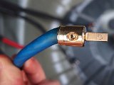 007.JPG